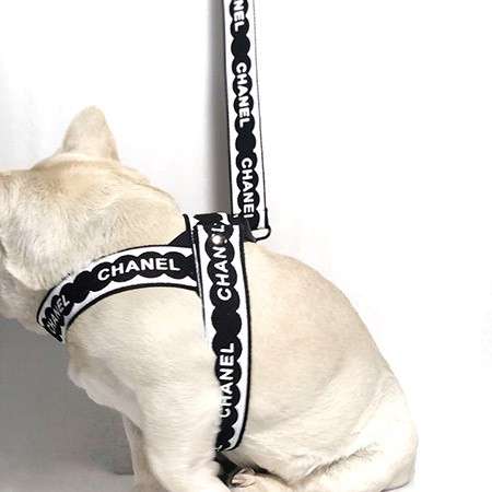 犬用品 コーギーchanel