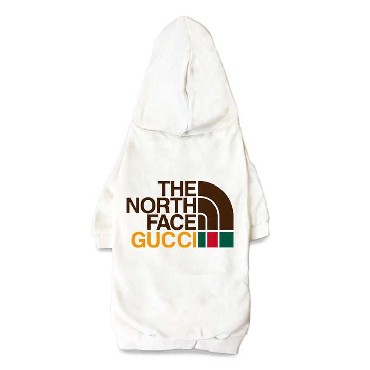 THE NORTH FACE 流行り