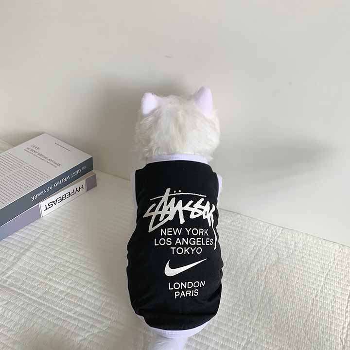 stussy スポーツ風