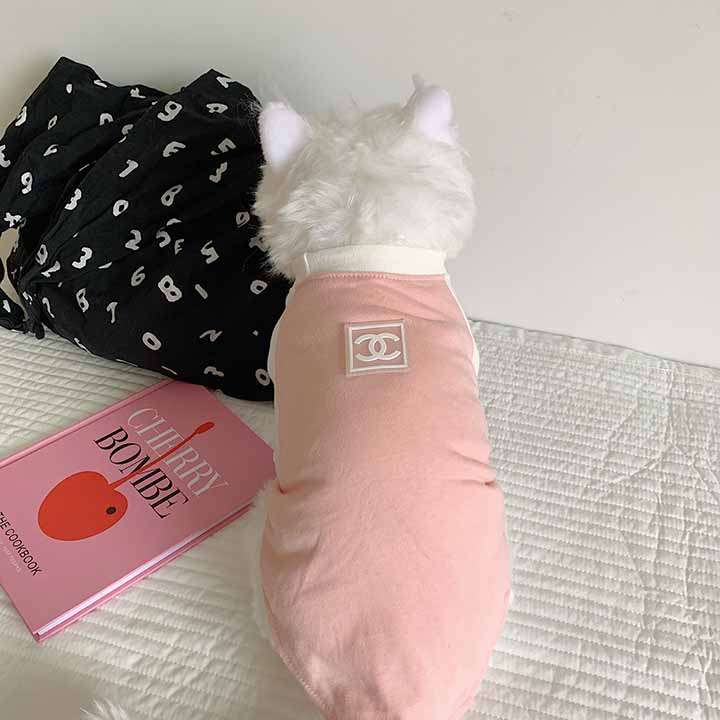 猫と犬 小型犬chanel